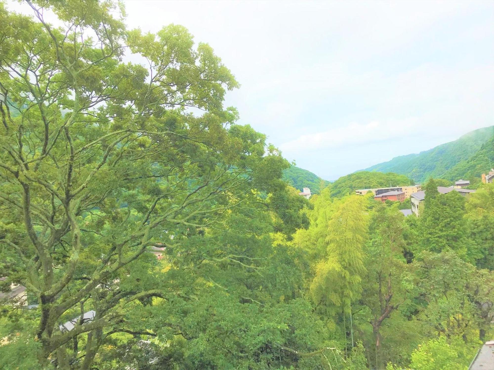 K'S House Hostels - Hakone Yumoto Onsen Room photo